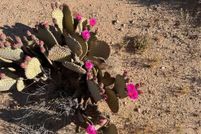 Recreational Property for sale in Mohave County, Arizona