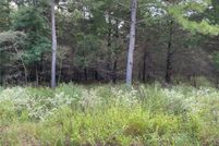 Homesite for sale in Smith County, Texas