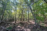 Undeveloped Land for sale in Page County, Virginia