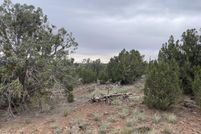 Homesite for sale in Apache County, Arizona