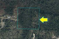 Undeveloped Land in Calhoun County, Florida