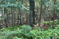 Undeveloped Land in Wayne County, Pennsylvania