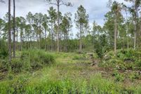 Undeveloped Land for sale in Flagler County, Florida
