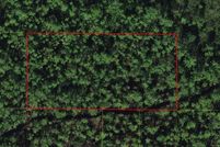 Land for sale in Osceola County, Florida