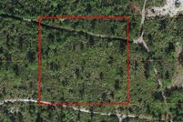 Undeveloped Land for sale in Osceola County, Florida