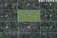 Undeveloped Land for sale in Orange County, Florida