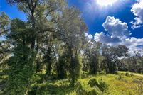 Land for sale in Volusia County, Florida