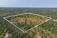 Undeveloped Land in Kalkaska County, Michigan