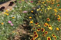 Undeveloped Land in Deschutes County, Oregon