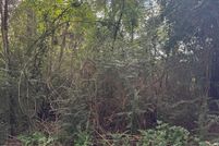 Farm and Ranch for sale in Rusk County, Texas