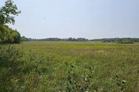Land in Douglas County, Minnesota