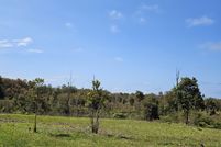 Undeveloped Land in Hawaii County, Hawaii