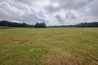 Undeveloped Land in Horry County, South Carolina