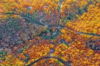 Undeveloped Land for sale in Gordon County, Georgia