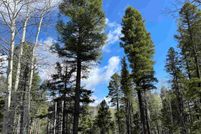 Farm and Ranch in Colfax County, New Mexico