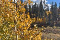 Land for sale in Park County, Colorado