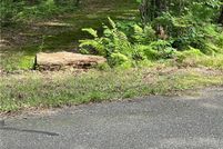 Undeveloped Land in Chippewa County, Wisconsin