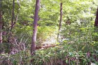 Land for sale in Greenville County, South Carolina
