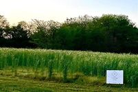 Land for sale in Louisa County, Iowa