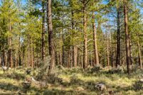 Undeveloped Land in Deschutes County, Oregon
