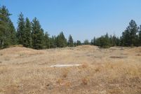 Undeveloped Land in Lincoln County, Washington