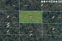 Land for sale in Orange County, Florida