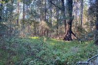 Land for sale in Brooks County, Georgia