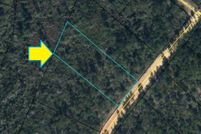 Undeveloped Land in Jackson County, Florida