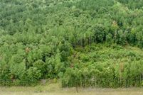 Land for sale in Coffee County, Alabama