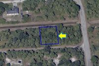 Undeveloped Land in Brevard County, Florida