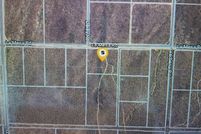 Land for sale in San Bernardino County, California