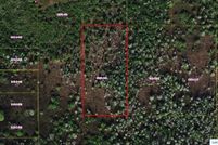 Land for sale in Osceola County, Florida