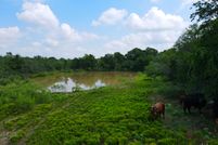 Land in Caldwell County, Texas