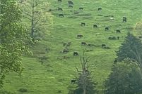 Land for sale in Carroll County, Arkansas