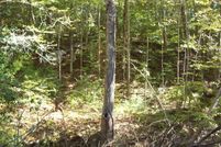 Timberland Property for sale in Hancock County, Tennessee