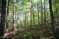 Undeveloped Land for sale in Blount County, Tennessee