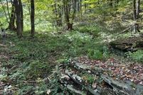 Undeveloped Land for sale in Ashe County, North Carolina