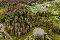 Undeveloped Land in Kenai Peninsula Borough, Alaska