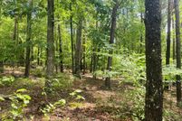 Undeveloped Land for sale in Pittsylvania County, Virginia