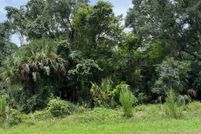 Undeveloped Land in Citrus County, Florida