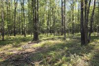 Undeveloped Land for sale in Copiah County, Mississippi