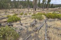 Timberland Property for sale in Klamath County, Oregon