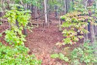 Land for sale in Gilmer County, Georgia