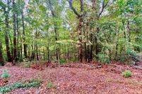 Land for sale in Gilmer County, Georgia