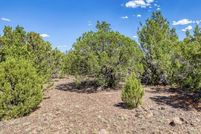 Land for sale in Apache County, Arizona