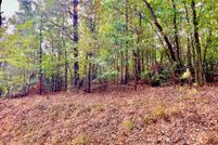 Hunting Property for sale in Gilmer County, Georgia