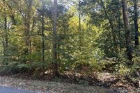 Undeveloped Land for sale in  , Virginia