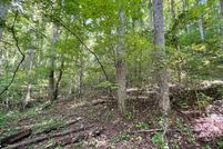 Undeveloped Land in Towns County, Georgia