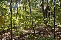 Undeveloped Land for sale in  , Virginia
