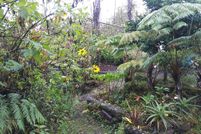Undeveloped Land in Hawaii County, Hawaii